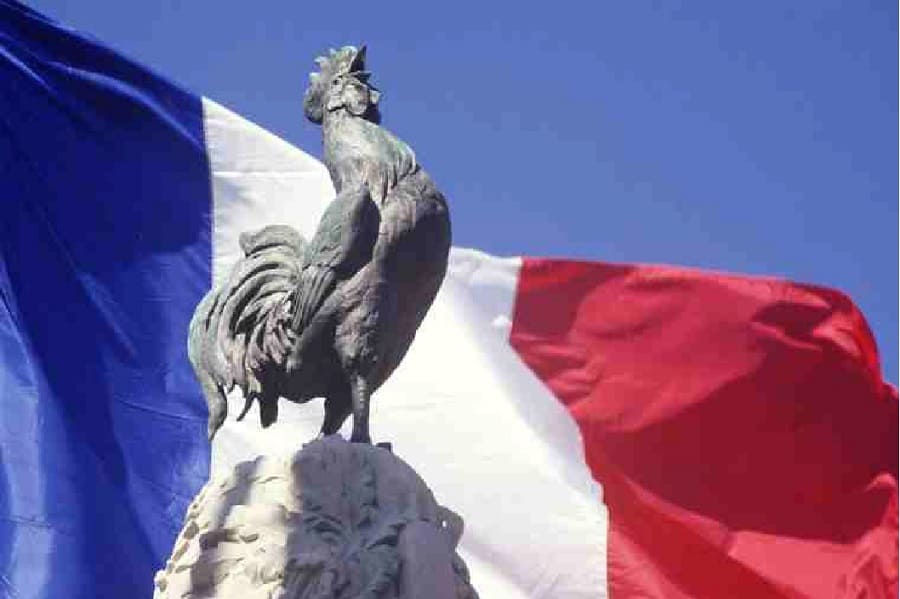 El gallo simbolo de francia