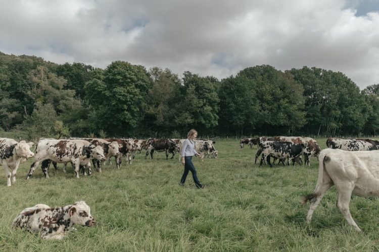 Будущие фермеры Франции разбираются в технологиях и хотят выходных